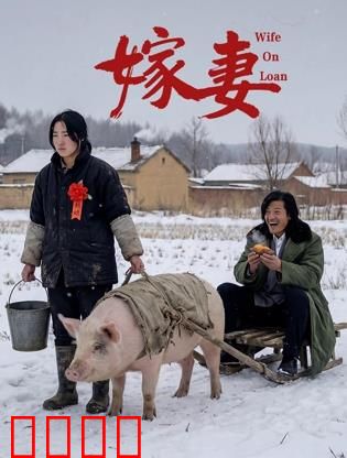 嫁妻：一场荒唐的交易