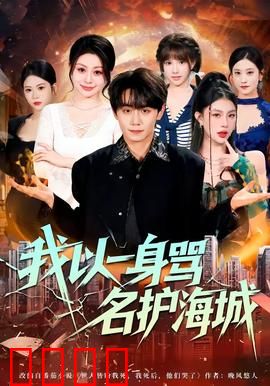 我以一身骂名护海城：卧底英雄的悲歌