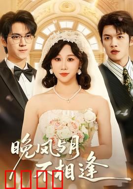 晚风与月不相逢：错过的月光