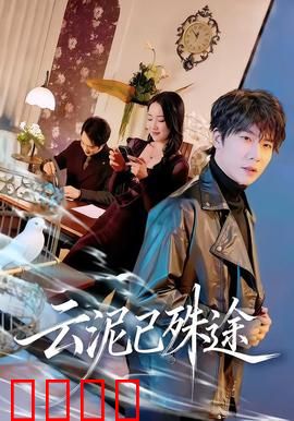 云泥已殊途：命运交错的爱