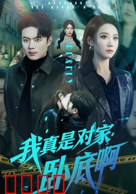 我真是对家卧底啊：反转不断的谍战
