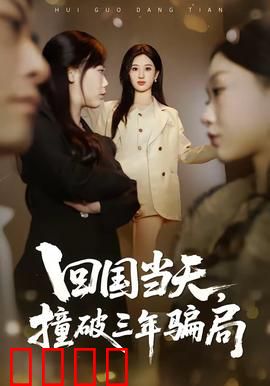 回国当天，撞破三年骗局：真相令人窒息