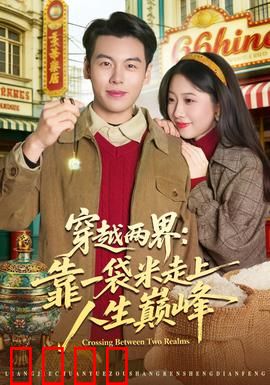 穿越两界：平行时空的救赎