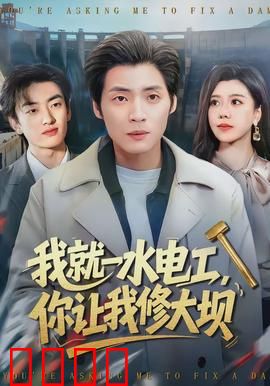 我就一水电工，你让我修大坝：水电工逆袭记