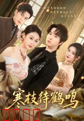 寒枝待鹤鸣：守望与救赎