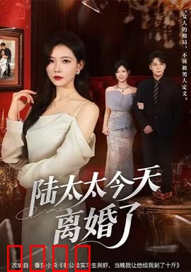 陆太太今天离婚了：逆袭归来