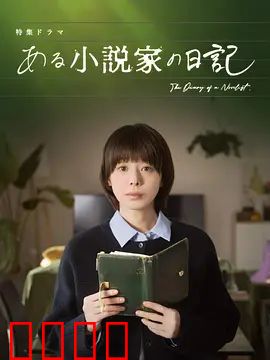 某小说家的日记：灵感与现实的纠葛