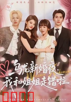 乌龙新婚夜，我和姐姐走错啦：姐妹错位婚礼