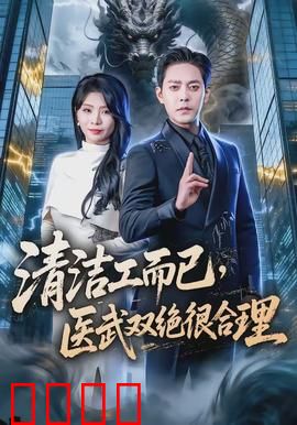 清洁工而已，医武双绝很合理：都市隐形高手