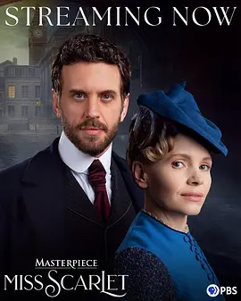 斯嘉丽小姐探案集第六季：谜案再起