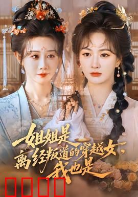 姐姐是离经叛道的穿越女，我也是：双穿风云