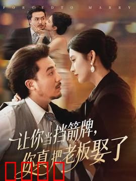 让你当挡箭牌，你真把老板娶了：逆袭上位