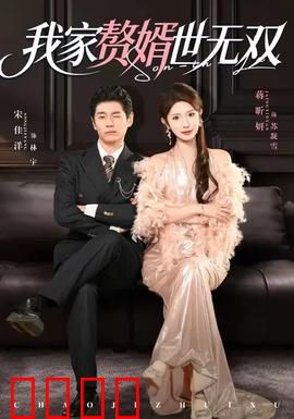 我家赘婿世无双：赘婿逆袭传奇