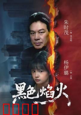 黑色焰火：复仇的火焰