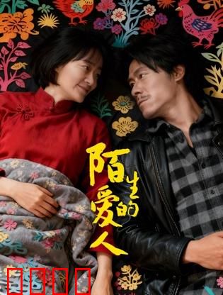 陌生的爱人：遗失的时光