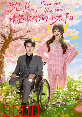 沈总，请签收你的小太阳：总裁追妻火葬场