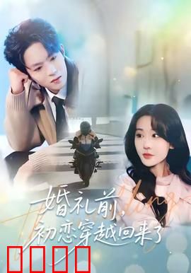 婚礼前初恋穿越回来了：甜虐交织