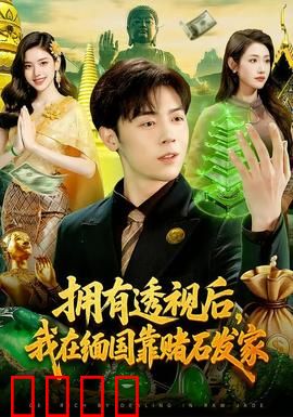 拥有透视后，我在缅国靠赌石发家：透视眼赌石逆袭