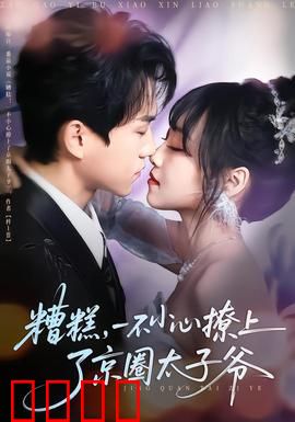 糟糕，一不小心撩上了京圈太子爷：甜蜜逆袭