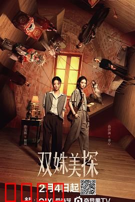 双姝美探：智破奇案