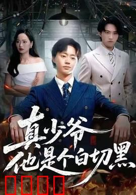 真少爷他是个白切黑：腹黑少爷逆袭记