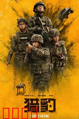 猎豹：草原王的生存密码