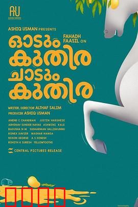 一匹马奔跑，一匹马跳跃：自由之魂