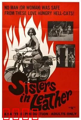 皮衣姐妹：致命诱惑