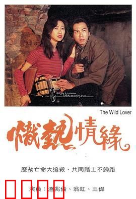 炽热情缘粤语：别后重逢