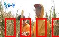 台湾第一等：绝美秘境