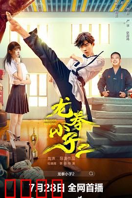 龙拳小子2：功夫少年再出击