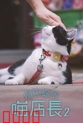 他和她的喵店长2：猫咪奇缘再续