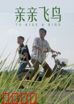 亲亲飞鸟：爱与自由的抉择