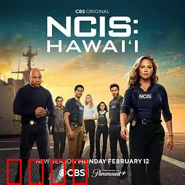 海军罪案调查处：破冰疑云