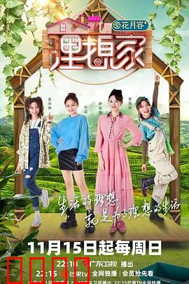 理想家：爱情逆袭战