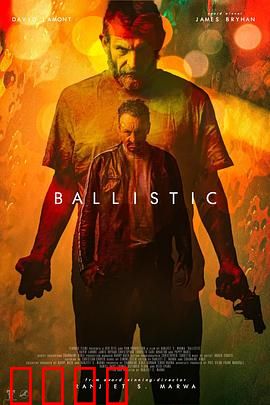 弹道：政治利益下的狙击