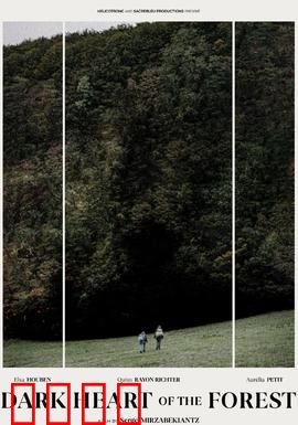 森林的黑暗心脏：致命诅咒