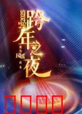 2025北京卫视跨年：群星璀璨之夜