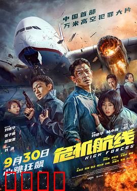 危机航线：高空生死劫