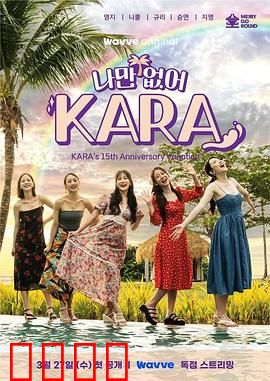 只有没有我，KARA：宿命的交响