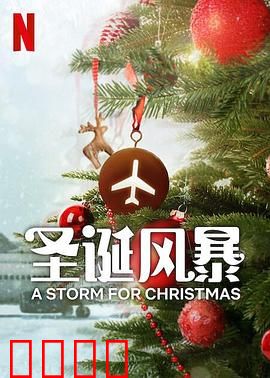 圣诞风暴：暴风雪下的奇迹