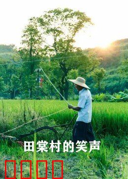 田棠村的笑声：乡村振兴喜乐汇