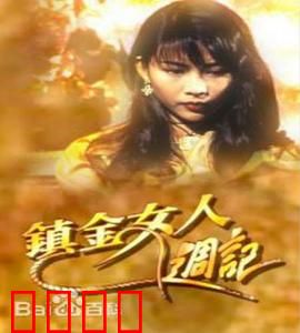 镇金女人周记粤语：职场女强人