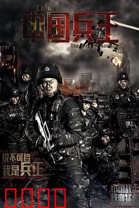 中国兵王：热血征途
