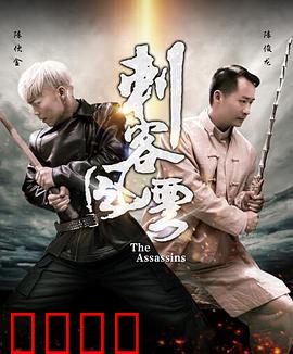 刺客风云：暗夜复仇记