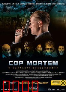 怒火警探：铁血复仇