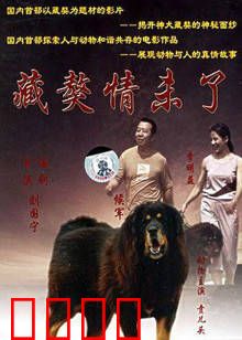 藏獒情未了：人犬情深