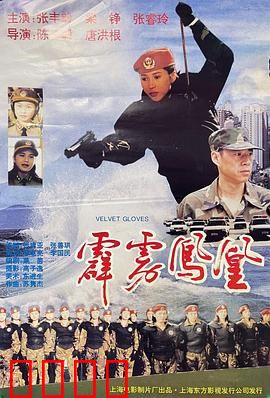 霹雳凤凰：女警铁血柔情