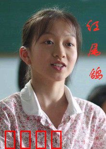 红尾鸽：血色迁徙