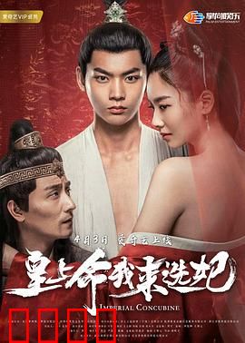 皇上命我来选妃：绝世才女逆袭